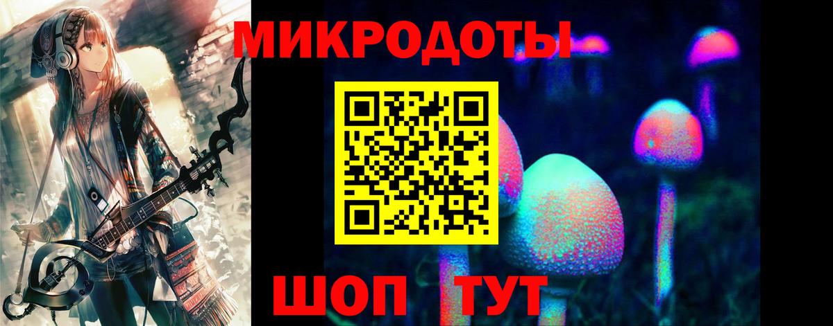 Сафоново  Псилоцибиновые грибы MAGIC MUSHROOMS  Вход с VPN 