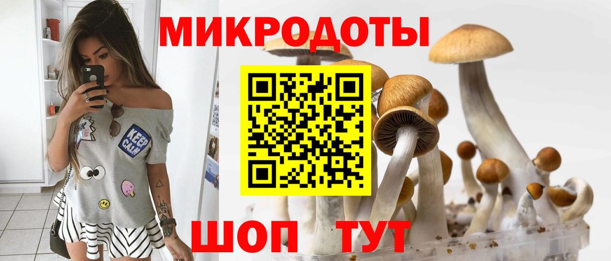 Галлюциногенные грибы Magic Shrooms Сафоново